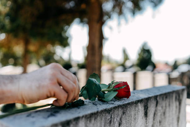 LatiDate Testimonial: What's Excellent Concerning This Dating Website?